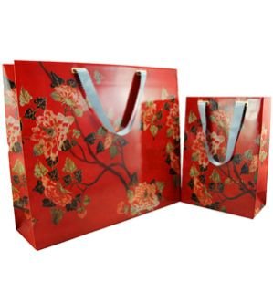 Imported Art Card Paper Bag 01