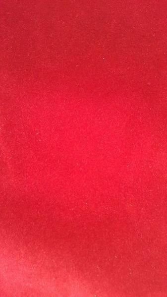 Plain Velvet Flocked Fabric 04