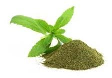 Stevia Green Powder