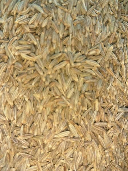 Singapore 99 % Purity Cumin Seeds