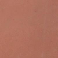 Agra Red Polished Sandstone