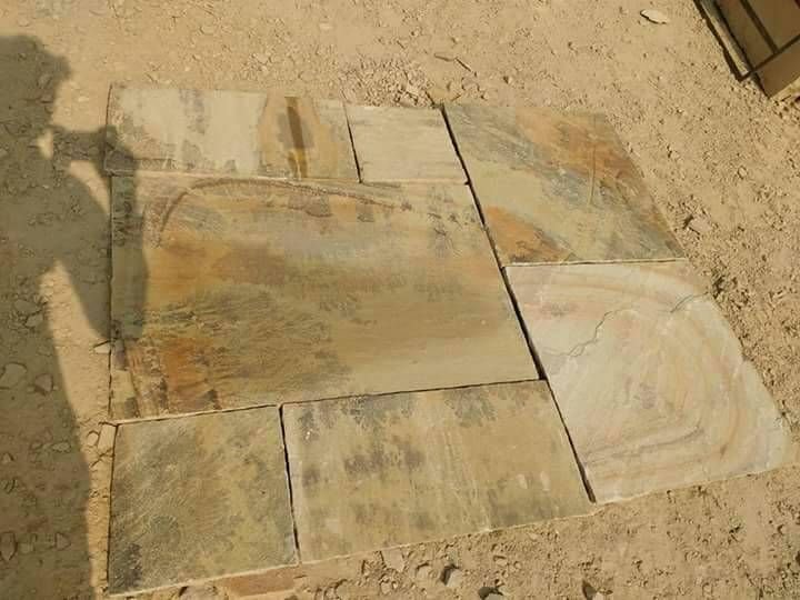 Fossil Mint Sandstone 05