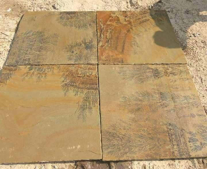 Fossil Mint Sandstone 07