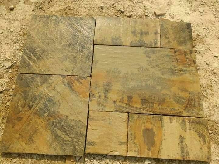 Fossil Mint Sandstone 07