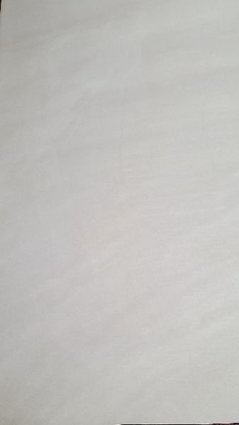 Gwalior Mint Polished Sandstone