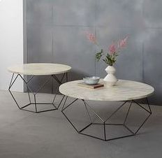 Designer Coffee Table 03