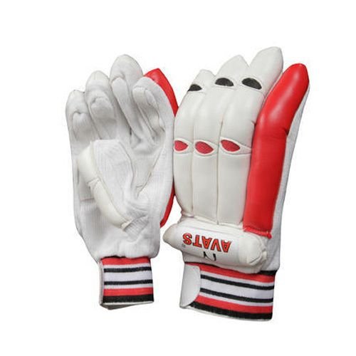 Cricket Batting Gloves 01