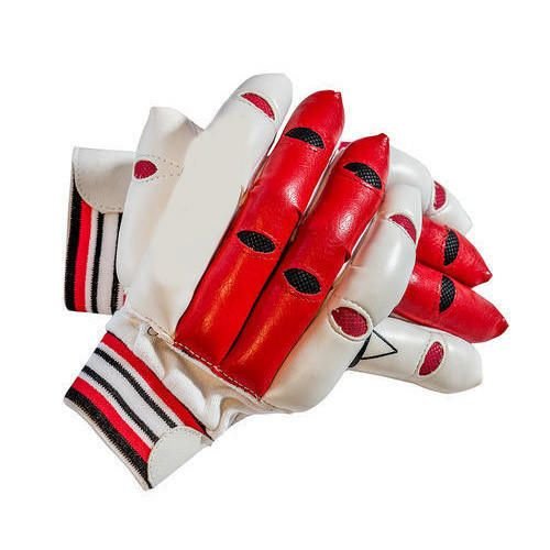 Cricket Batting Gloves 03