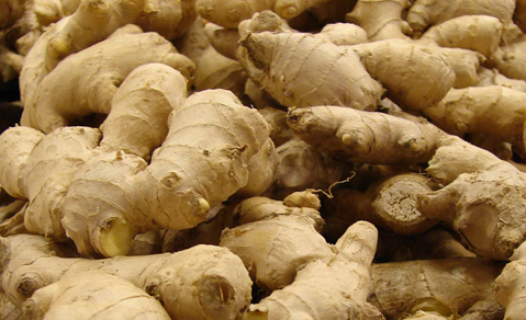 Indian Ginger