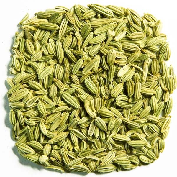 Fennel Seeds 04