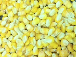 Yellow corn