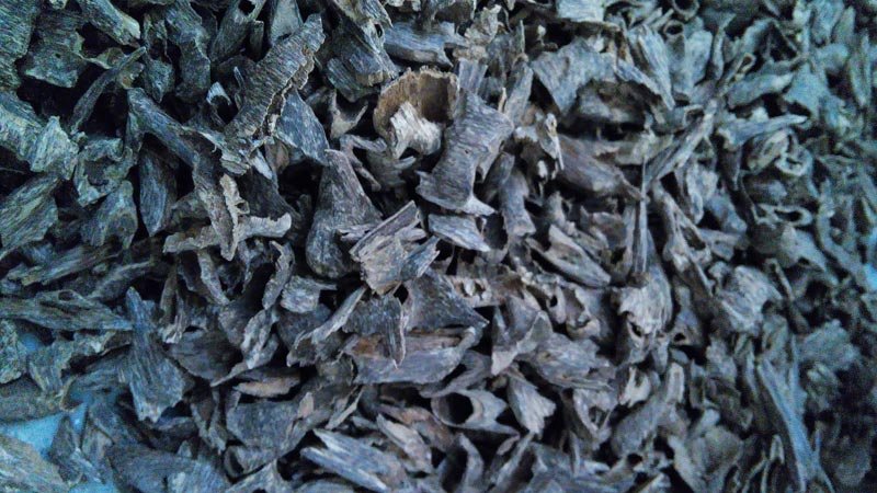 Oudh Chips AA