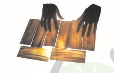 Horn Cylinder & Scale 04