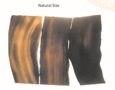 Horn Cylinder & Scale 07