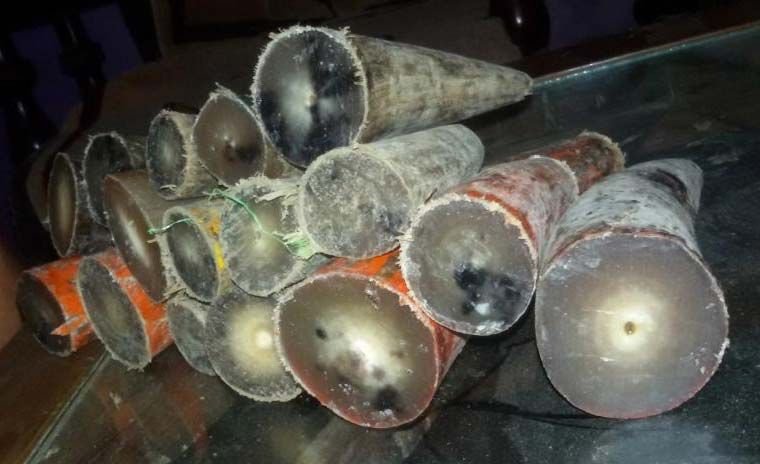 OX Horn Tips & Hollow 02