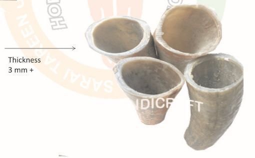 OX Horn Tips & Hollow 01