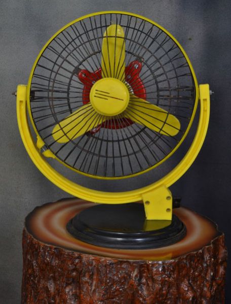 Stormy Pedestal Fan
