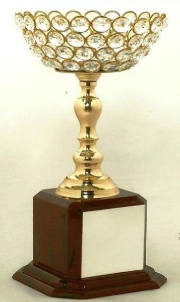 Diamond Cup Trophy (CI-1134)
