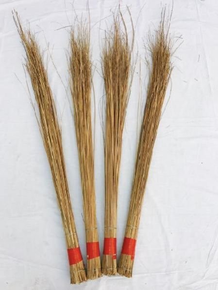 Maharani Red Small Tape Hard Broom  (500 gm)