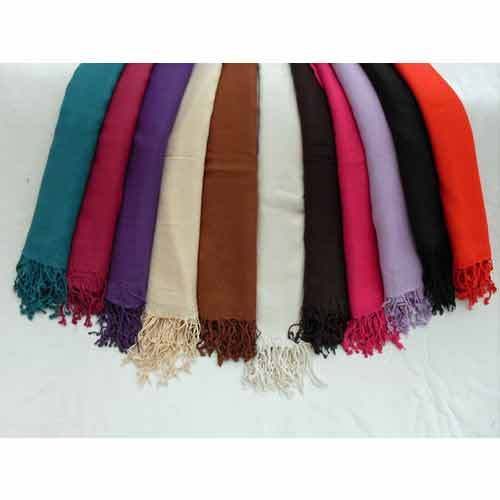 Pashmina Shawl 13