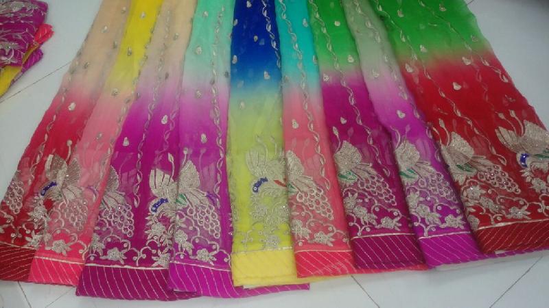 Rajputi Chiffon Saree 14