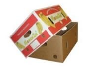 Fruit Packaging Box