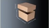 Half Slotted Carton
