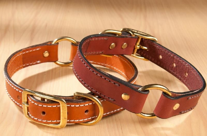Dog Collar 02