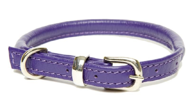 Dog Collar 03
