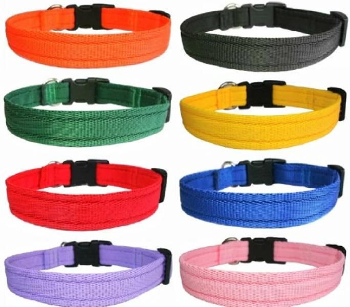 Dog Collar 04