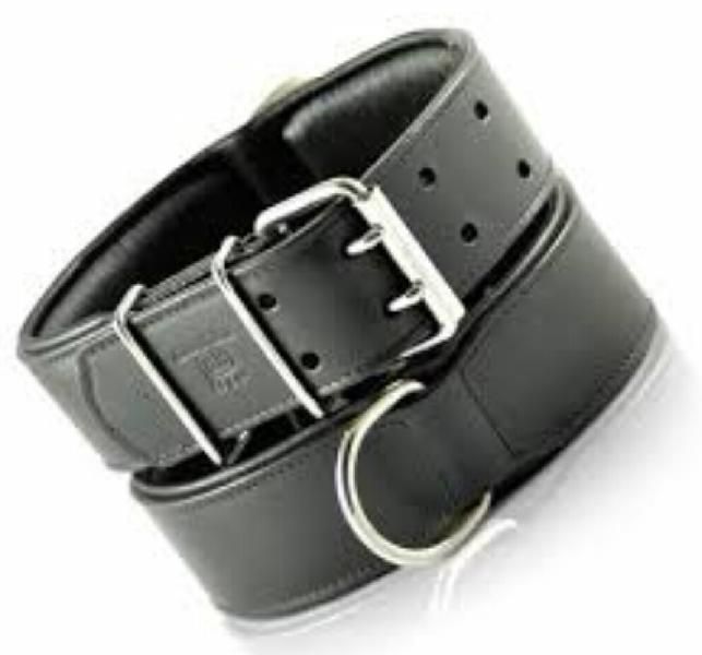 Dog Collar 05