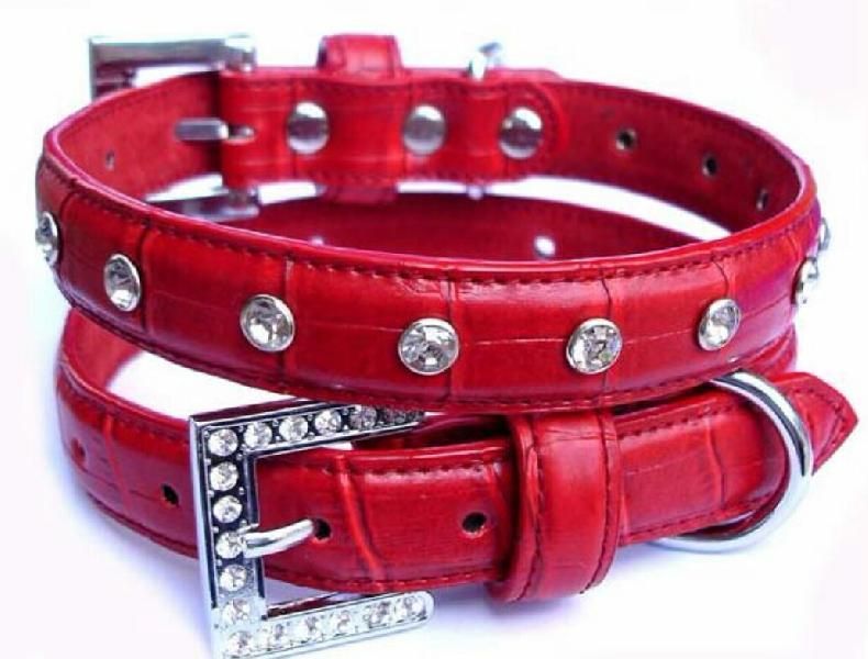 Dog Collar 07