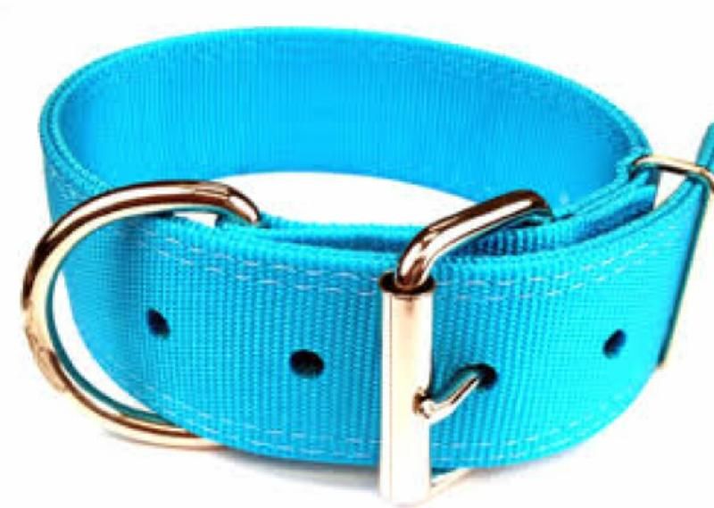 Dog Collar 08
