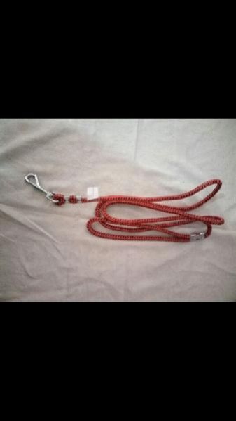 Dog Leads 04