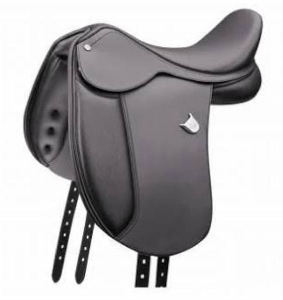 Horse English Saddle 01