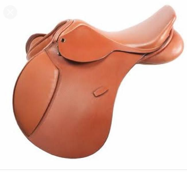 Horse English Saddle 05