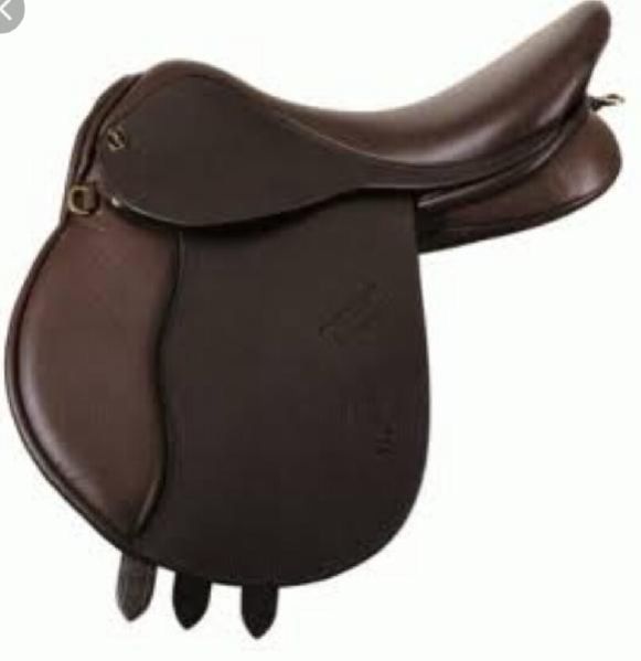 Horse English Saddle 06