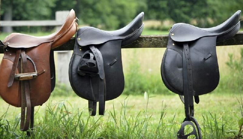 Horse English Saddle 07