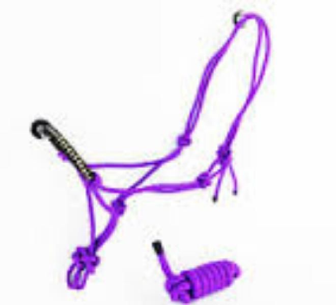 Horse Halter 01