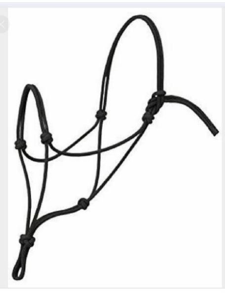 Horse Halter 02