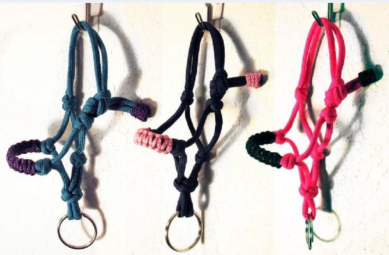 Horse Halter 03