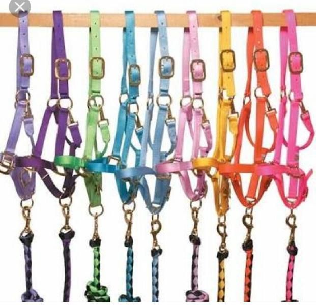 Horse Halter 05