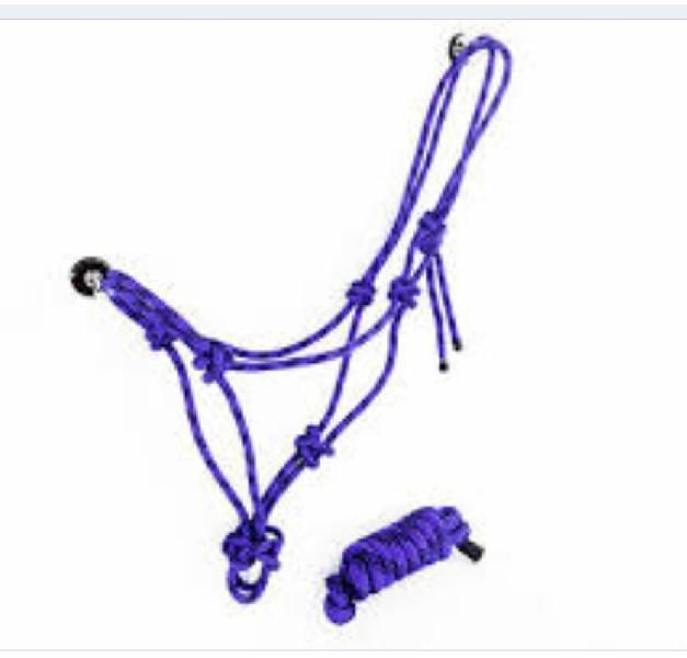 Horse Halter 06