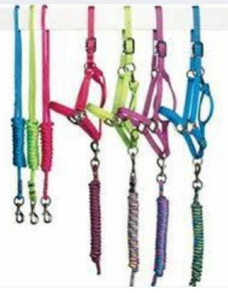 Horse Halter 07