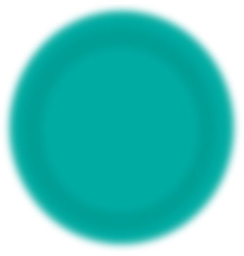 Semi Special Aqua Green Colour