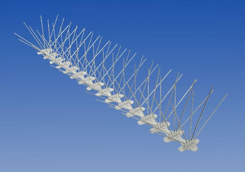 Bird Spikes 02