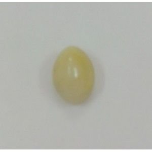 CE59 Cat's Eye Gemstone