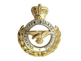 Military Metal Badge 05