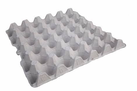 Pulp Molded Egg Tray 01