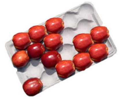 Pulp Moulded Apple Tray 01